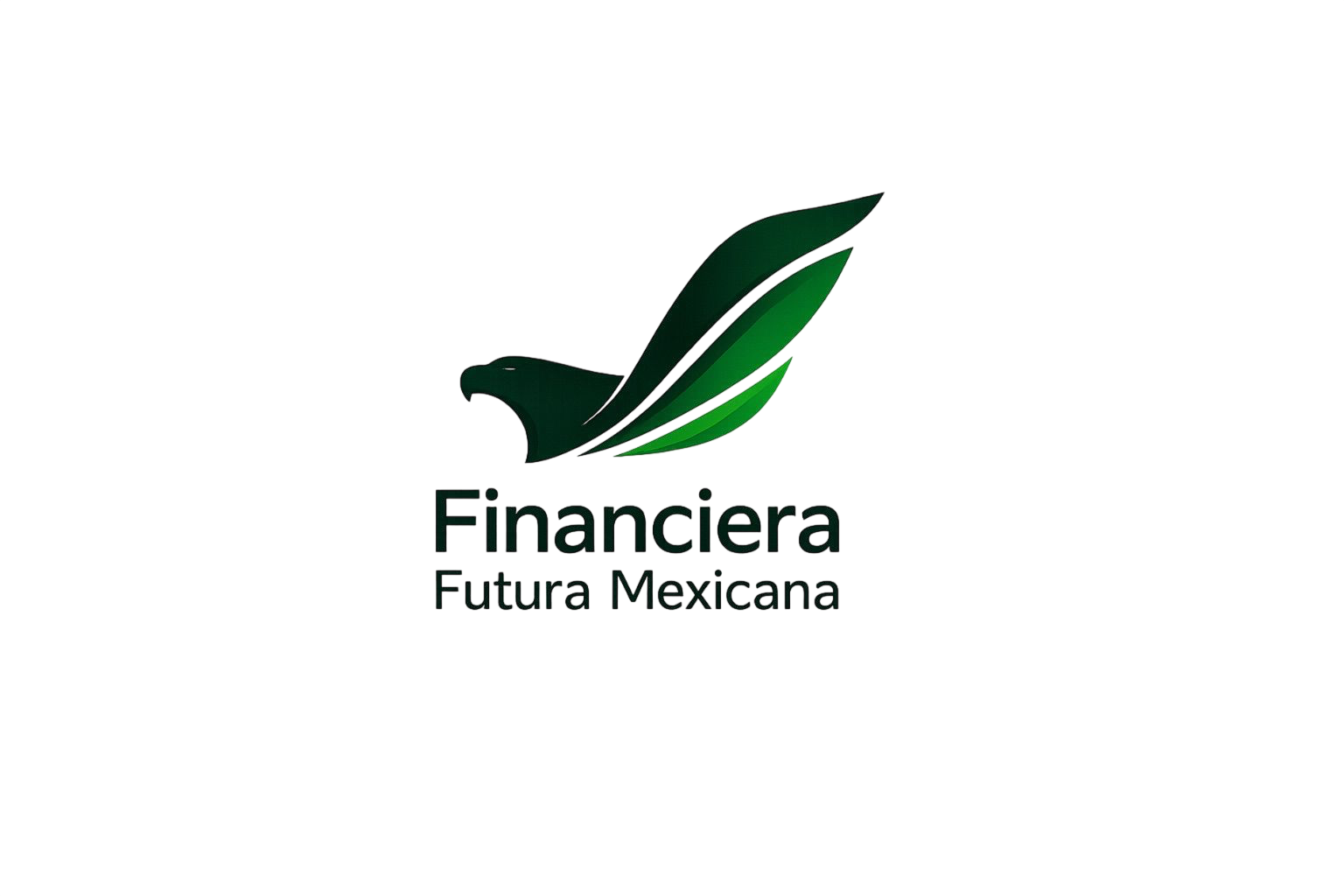Logo Financiera Futura Mexicana